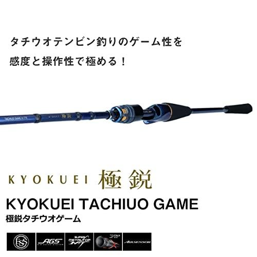 ダイワDAIWA 船竿極鋭タチウオゲーム H-175