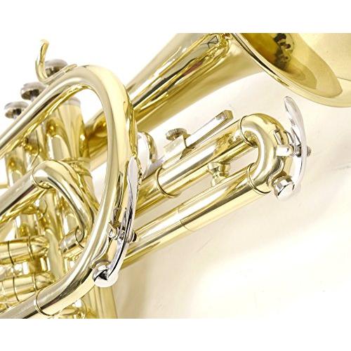 Kaerntner ケルントナー コルネット KCT-45 セミハードケース