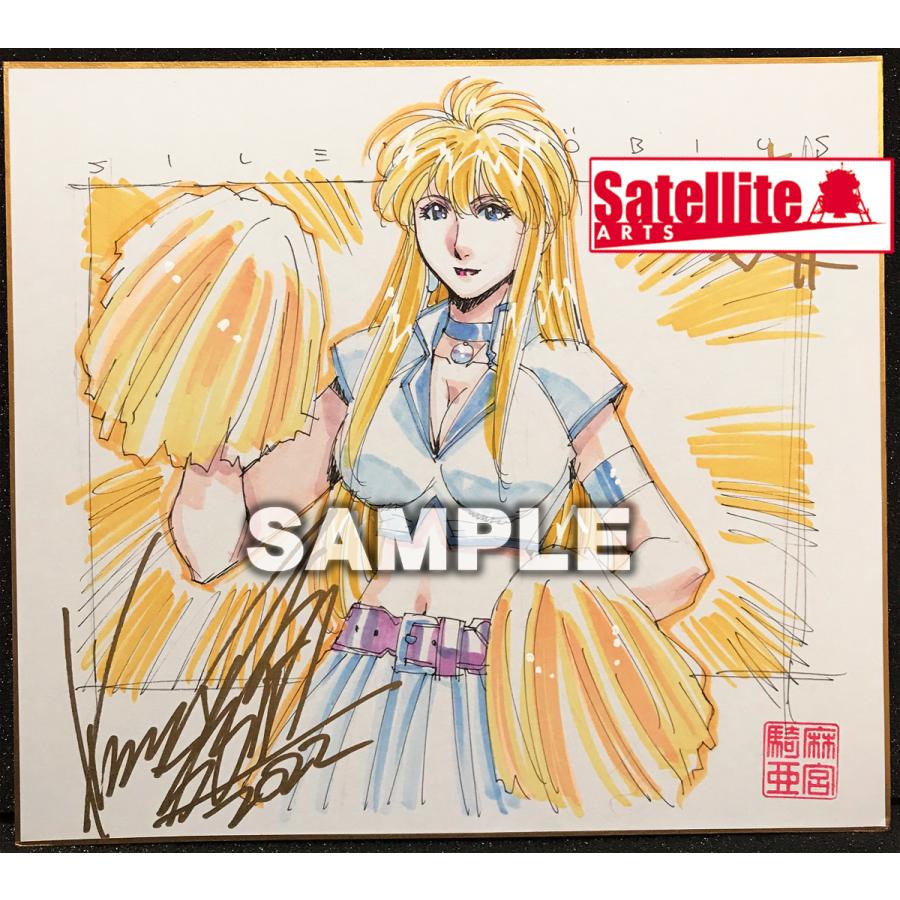 宮様オーダーページ Z－253 BS黒本体（B） | 製品詳細 | シーピー化成株式会社