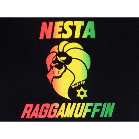 NESTA tシャツ メンズ 限定 数回着用 NESTA tシャツ メンズ 限定 数回着用