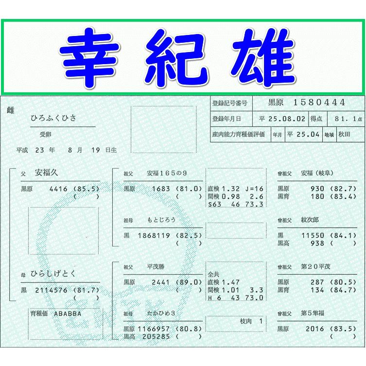 人気特価激安 幸紀雄 ひろふくひさ 安福久 平茂勝 第５隼福 ｄ 体外受精卵 期間限定送料無料 Www Chsroanoke Com
