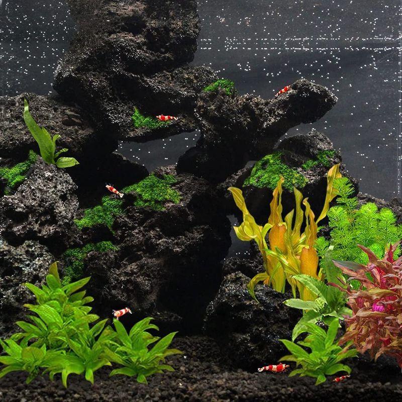 送料込 風山石 水草 素材セット ヘアーグラスショート 本州四国限定 水上葉 ３０ｃｍ