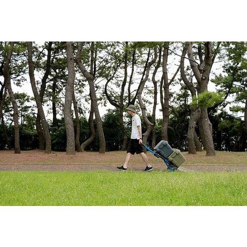 花岡フラットカート ツーバイフォー アウトドア キャンプ 小回り 2×4 二輪 四輪 折りたたみ 車に収納便利 コンパクト収納 7.4kg 最大耐荷重120kgの画像