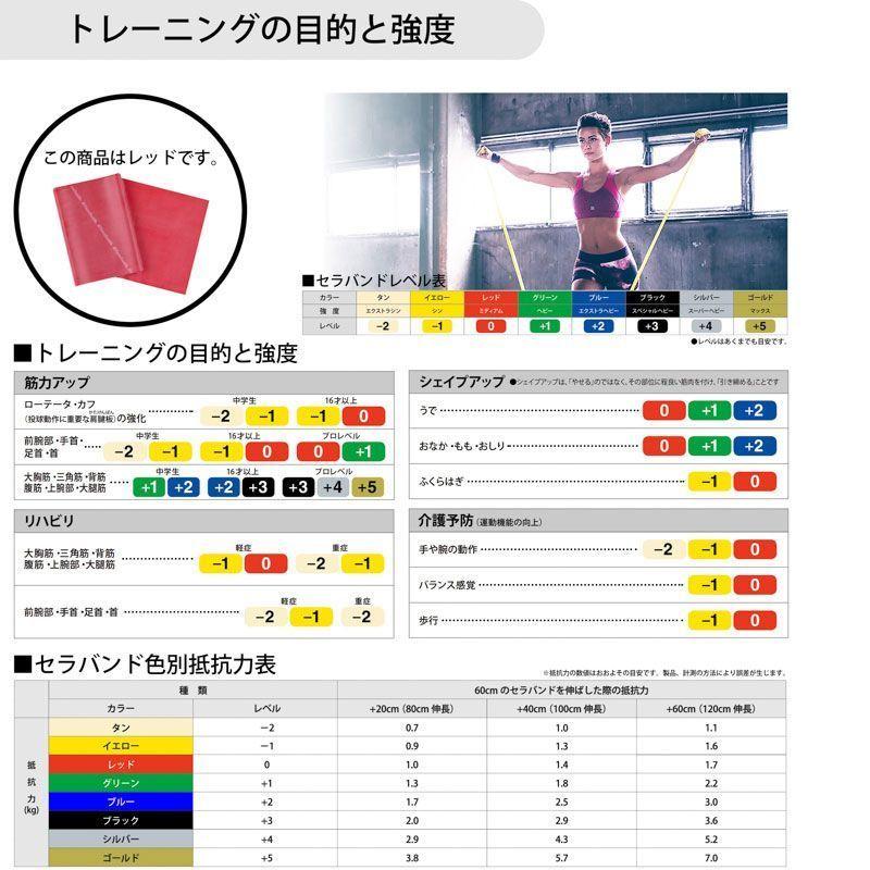 セラバンド バンドタイプ 強度レベル0 D&M 伸縮自在 2m トレーニング おうちエクササイズ ダイエット 体力 筋力向上 リハビリ 運動機能 レッド｜satoh-sports｜02