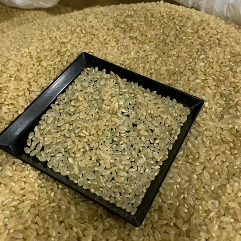 あきたこまち 玄米30kg 特別栽培米 あきたこまち玄米30キロ（10kg×3 
