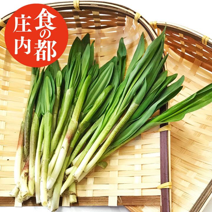 天然 山菜 行者ニンニク 50g冷蔵 山形県庄内地方 行者にんにく 春