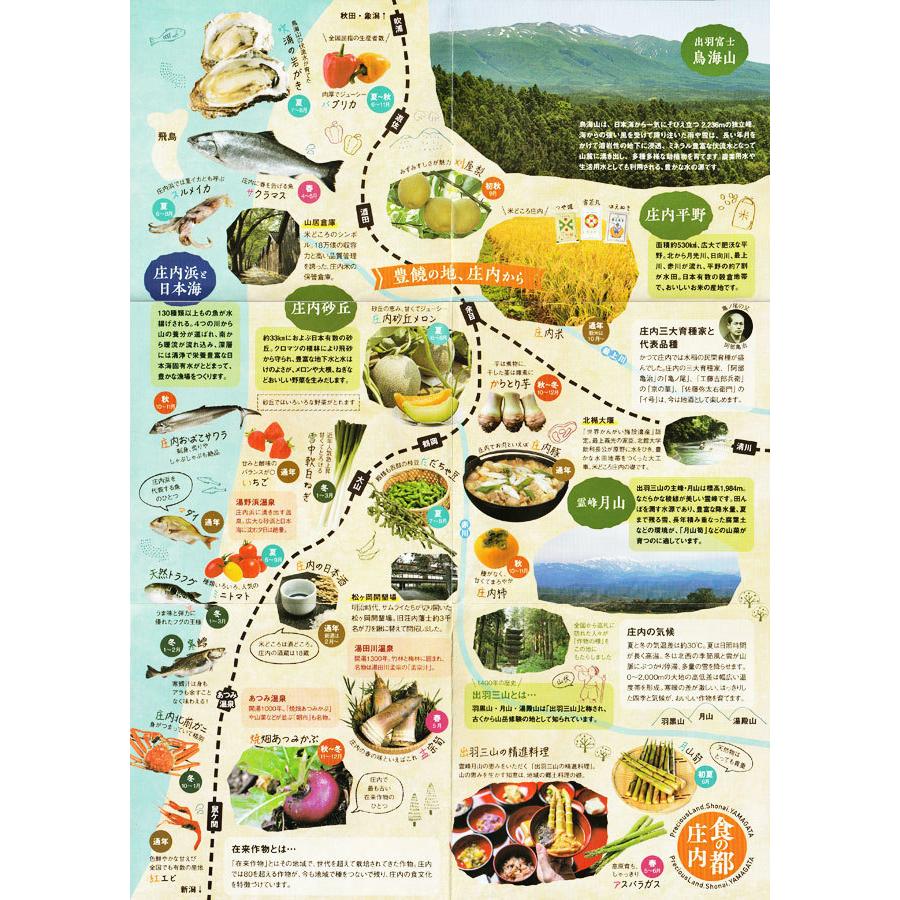 天然 山菜 シドケ 100g冷蔵 山形県庄内地方 しどけ 春 山菜セット 佐