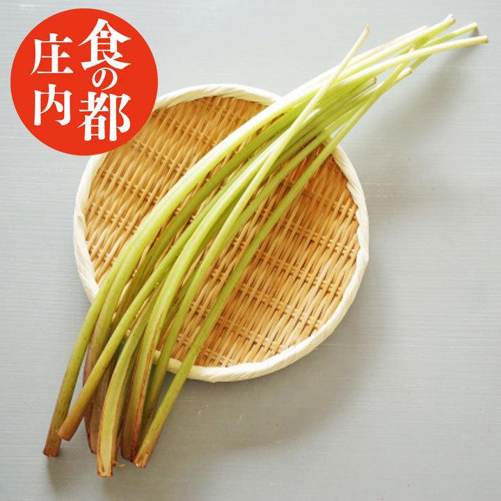 243円 63 Off 天然 山菜 ふき 250ｇ冷蔵 山形県庄内地方 フキ 春 山菜セット 佐徳