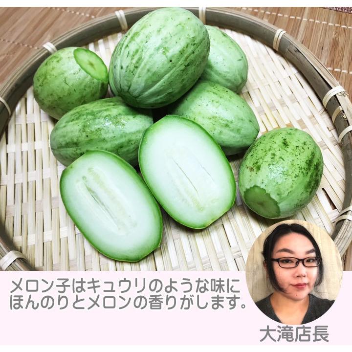 メロン子 1kg 山形県鶴岡産 子メロン 摘果メロン 食の都庄内 : 安心と