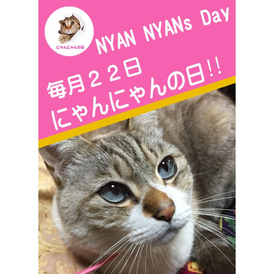 にゃんにゃんの日 ねこの日 ニャンともかわいいケーキ冷凍 プリントクッキー3枚＋ちゅーる＋ケーキ) 猫 グッズ : 安心とおいしさが詰まったお ...