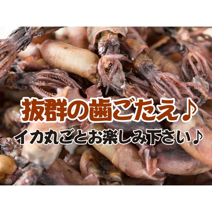 おつまみ 珍味 国産 まめいか 1kg つまみ いか イカ 大容量 業務用 酒の肴｜satomoya｜05