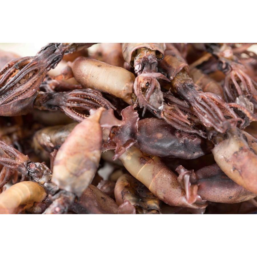 おつまみ 珍味 酒の肴 国産 まめいか 180g おつまみ珍味がたっぷり 酒の肴 おつまみ 珍味 いかの煮干し 001 101 日本海珍味店さとも屋 通販 Yahoo ショッピング