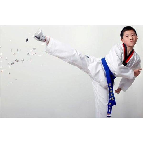 在庫あり 送料無料 テコンドー衣 新品 ホワイト Wantannas Go Id