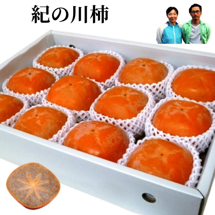 幻の柿 紀ノ川柿 3キロ 12−16個 和歌山県産 紀の川柿/樹上脱渋した