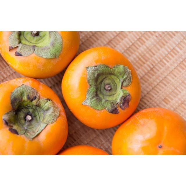 幻の柿 紀ノ川柿 3キロ 12−16個 和歌山県産 紀の川柿/樹上脱渋した