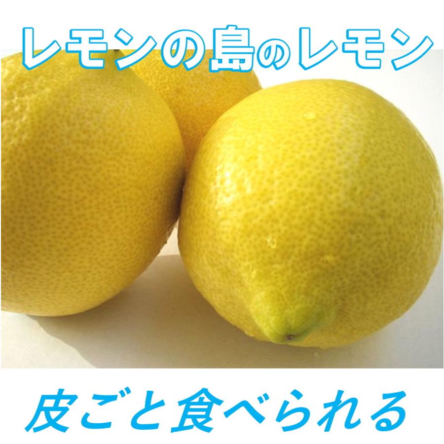 ➀国産瀬戸内レモン3Kg 【公式通販】