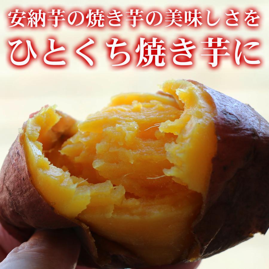 ひとくち焼き芋 五島列島産 安納芋使用 ひとくち焼き安納芋 50g×5袋