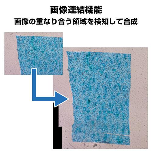 HDMI顕微鏡カメラ TC-1500（USB/HDMI）500万画素【Jスコープ】 画像計測/深度合成/自動セルカウントの画像