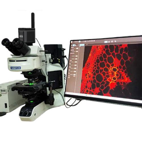 【最終】 高画質顕微鏡カメラ BC-1200 Jスコープ 【T1927218433】(69564円)