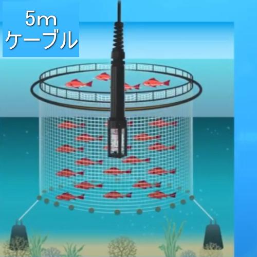 デジタル溶存酸素計（水温度計）HJ-PENDO　5mケーブル付　サトテック