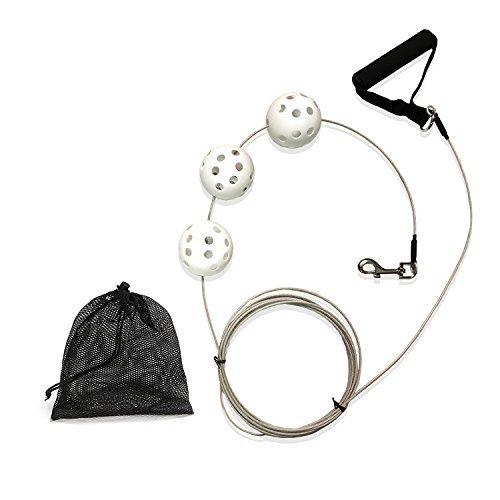 素早いセットアップと使いやすい Swingers その他野球用品 噂の宝珠堂 素早いセットアップと使いやすい プロフェッショナル野球チューンアップキット バ バ 店 アルティメット野球バッティングトレーナー Ys