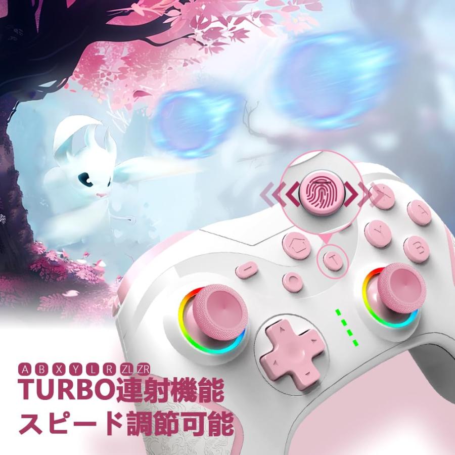 AceGamer switch コントローラー スイッチ マクロ機能 自動連射機能 3