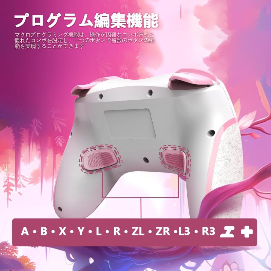 AceGamer switch コントローラー スイッチ マクロ機能 自動連射機能 3