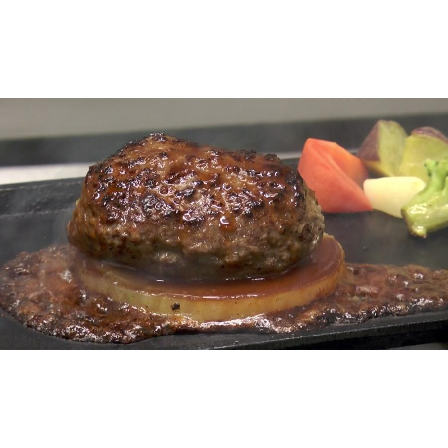 送料込 この華牛 手ごね 生ハンバーグ150ｇ 5個 Sy 171 九州グルメアドベンチャー 通販 Yahoo ショッピング