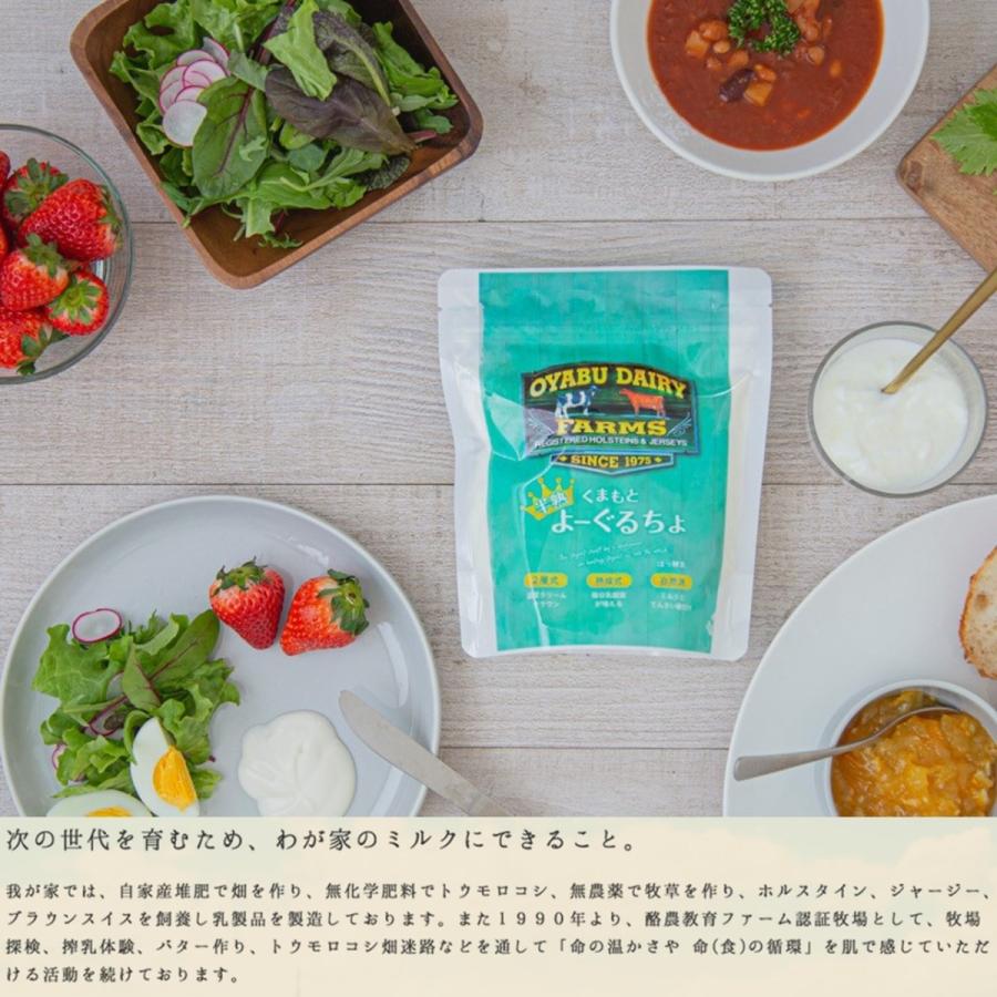 オオヤブデイリーファーム くまもと半熟よーぐるちょ 450ｇ 5個 ギフト Sy 180 九州グルメアドベンチャー 通販 Yahoo ショッピング