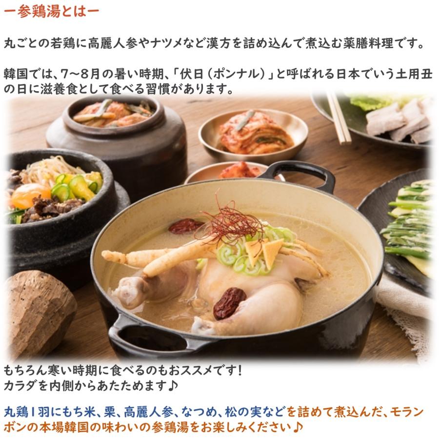 モランボン 本場韓国製造 参鶏湯（サムゲタン） 2〜3人前 3袋セット