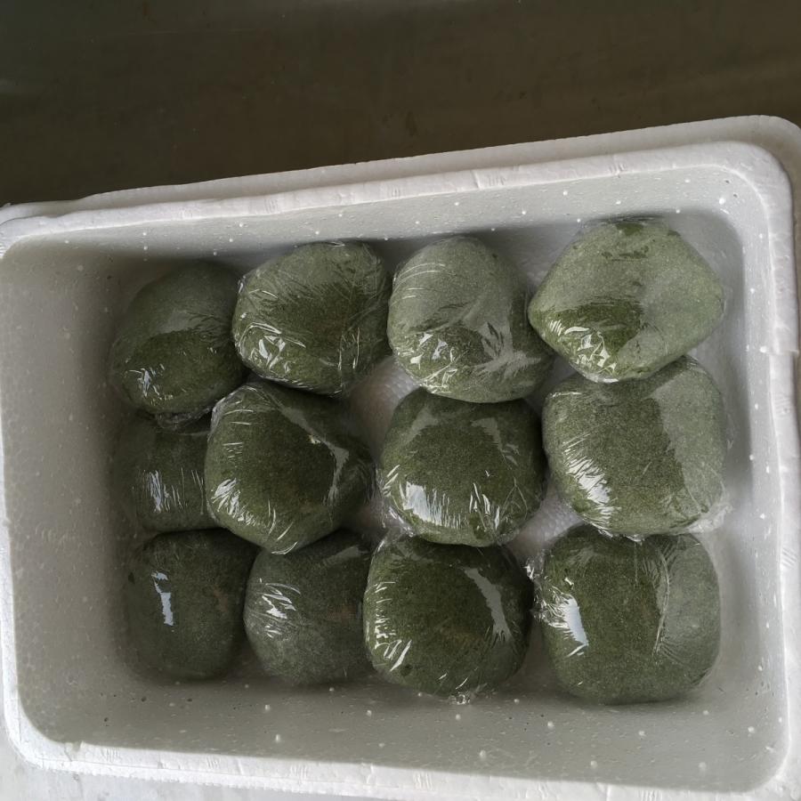 宅配便配送 よもぎ大福 こがねもち100 粒あん 12個入 Wantannas Go Id