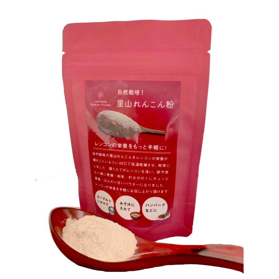 無農薬 無施肥の自然栽培で育てた 里山れんこん 100g入り 日本未発売 のパウダー