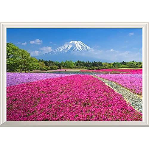 絵画風 内装 壁紙ポスター はがせるシール式 富士山 窓の景色 富士芝桜 富士山