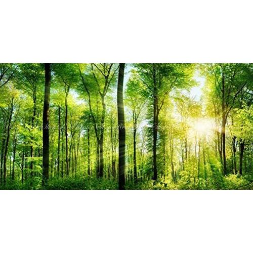 絵画風 壁紙ポスター はがせるシール式 壁紙 森林 パノラマ 森林浴 日光浴 癒し 内装 陽射し Snr 101 癒し 目の保養 太陽 緑の森 サトラストア キャラクロ お買い物ガイド の