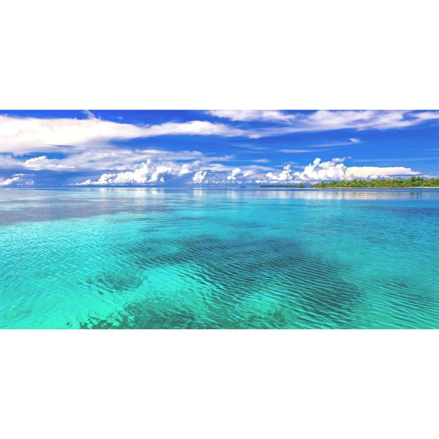 絵画風 壁紙ポスター はがせるシール式 はがせるシール式 壁紙 珊瑚礁の内海 ターコイズブルーの世界 壁紙ポスター ウィディ諸島 ハルマヘラ島 絶景スポット キ インドネシア サトラストア