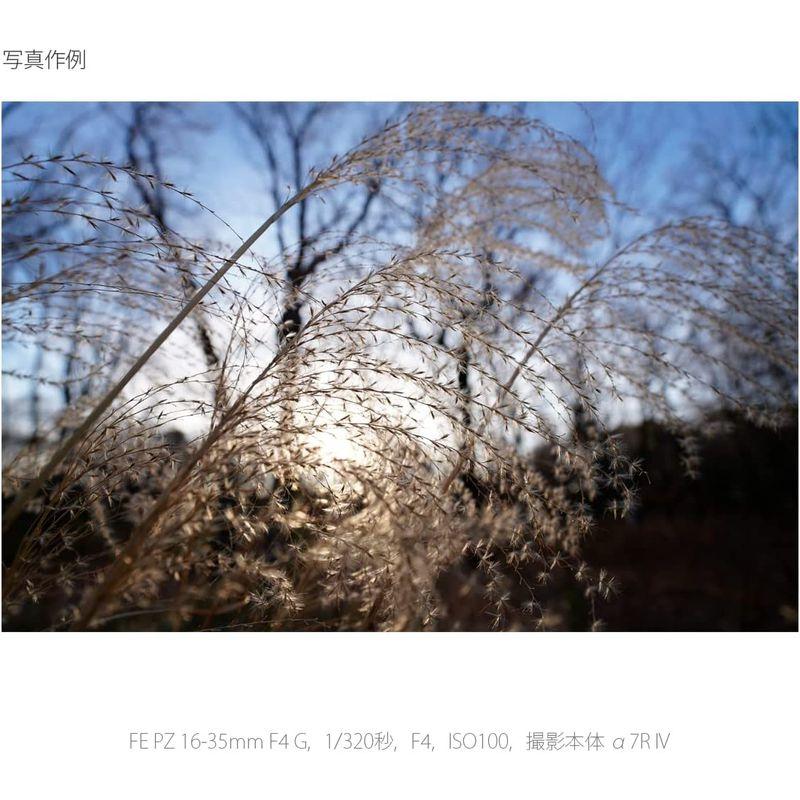 お値下げ ソニー / 広角ズームレンズ / フルサイズ / FE PZ 16-35mm F4 G / Gレンズ / デジタル一眼カメラαEマウント用 【AAA2183440314】(78813円)