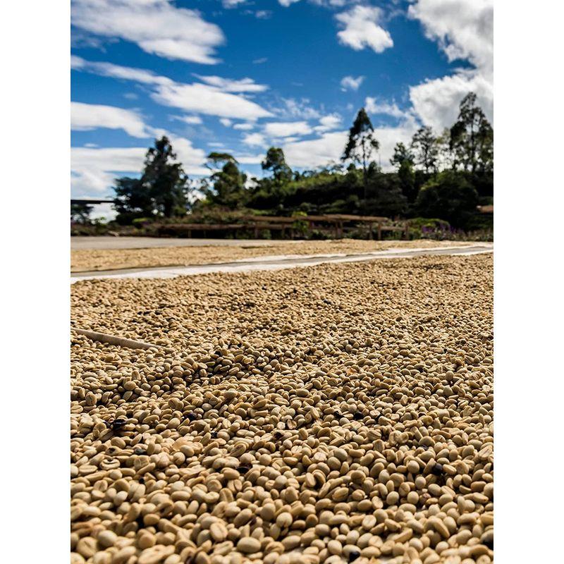 [大特価] サザコーヒー 1杯取りコーヒー サザカップオン 将軍珈琲 12g×１００枚セット 業務用 大容量 オフィスに最適 深煎り ドリップバッグ 【D1712679989】(10170円)
