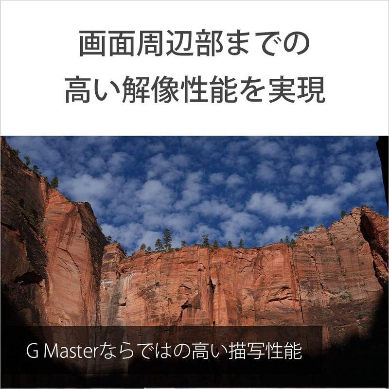 「送料無料・年末感謝」 ソニー/標準単焦点レンズ/フルサイズ/FE 50mm F1.4 GM/G Master/デジタル一眼カメラαEマウント用 純正レンズ / S 【YWU2625379670】(94767円)