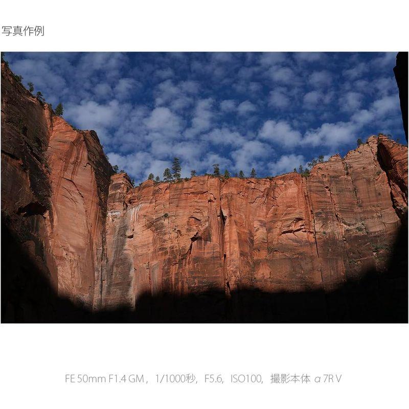 「送料無料・年末感謝」 ソニー/標準単焦点レンズ/フルサイズ/FE 50mm F1.4 GM/G Master/デジタル一眼カメラαEマウント用 純正レンズ / S 【YWU2625379670】(94767円)