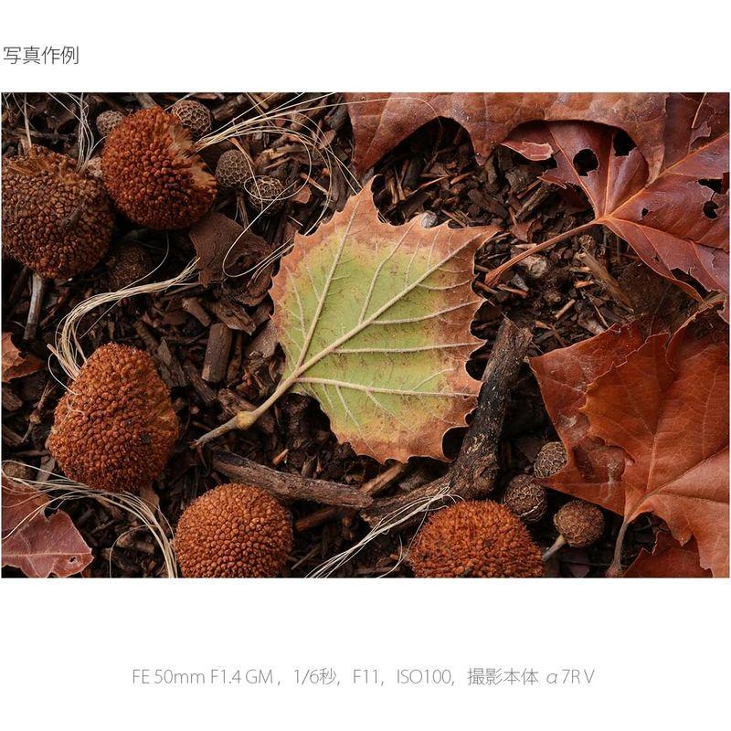 「送料無料・年末感謝」 ソニー/標準単焦点レンズ/フルサイズ/FE 50mm F1.4 GM/G Master/デジタル一眼カメラαEマウント用 純正レンズ / S 【YWU2625379670】(94767円)