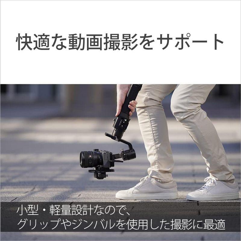 「送料無料・年末感謝」 ソニー/標準単焦点レンズ/フルサイズ/FE 50mm F1.4 GM/G Master/デジタル一眼カメラαEマウント用 純正レンズ / S 【YWU2625379670】(94767円)