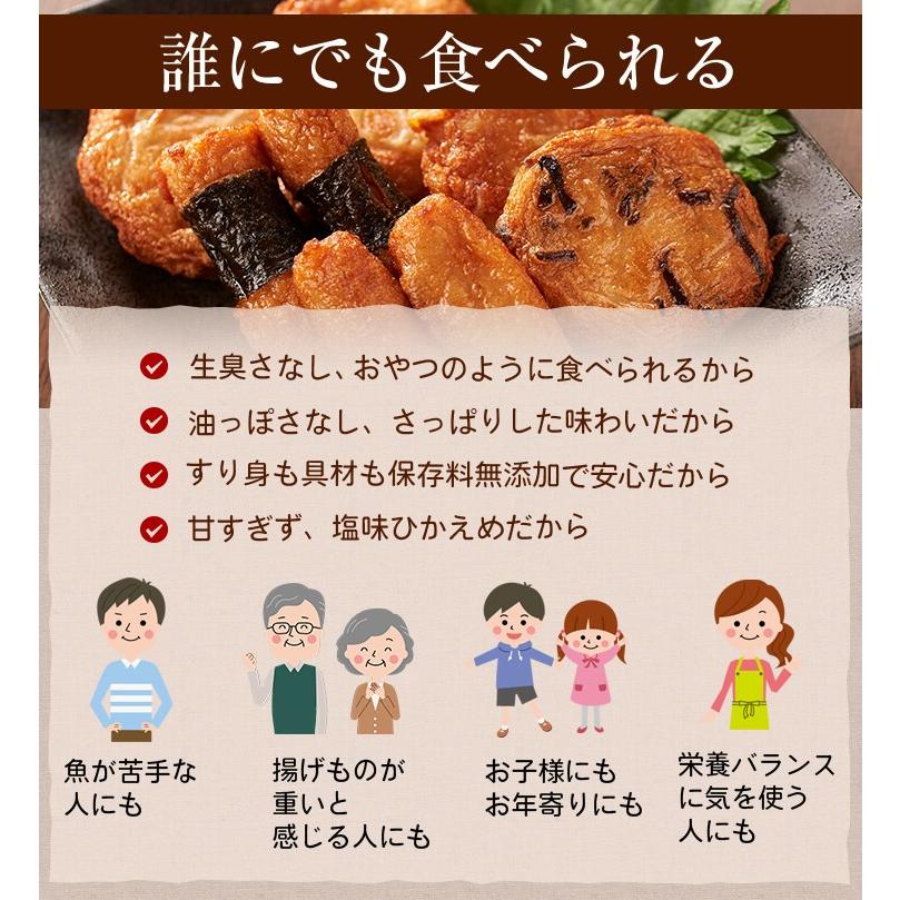 お試し  送料無料 さつま揚げ 揚立屋  【 さつまあげ おふたり様セット】ネット限定  鹿児島 |  | 13
