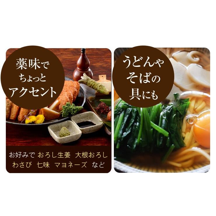 お試し  送料無料 さつま揚げ 揚立屋  【 さつまあげ おふたり様セット】ネット限定  鹿児島 |  | 16