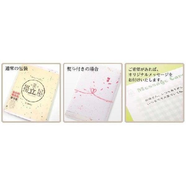 お試し  送料無料 さつま揚げ 揚立屋  【 さつまあげ おふたり様セット】ネット限定  鹿児島 |  | 02