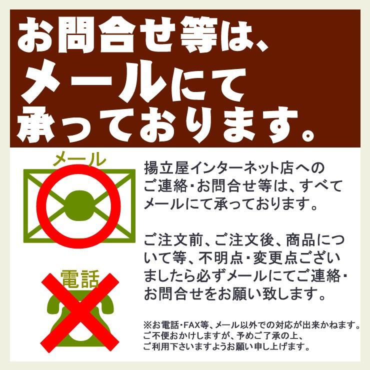 お試し  送料無料 さつま揚げ 揚立屋  【 さつまあげ おふたり様セット】ネット限定  鹿児島 |  | 20