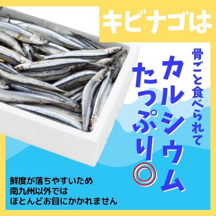 訳ありSALE 小魚まるごと 惣菜 塩麹調理済み きびなごオイル漬け 訳ありSALE 小魚まるごと 惣菜 塩麹調理済み きびなごオイル漬け