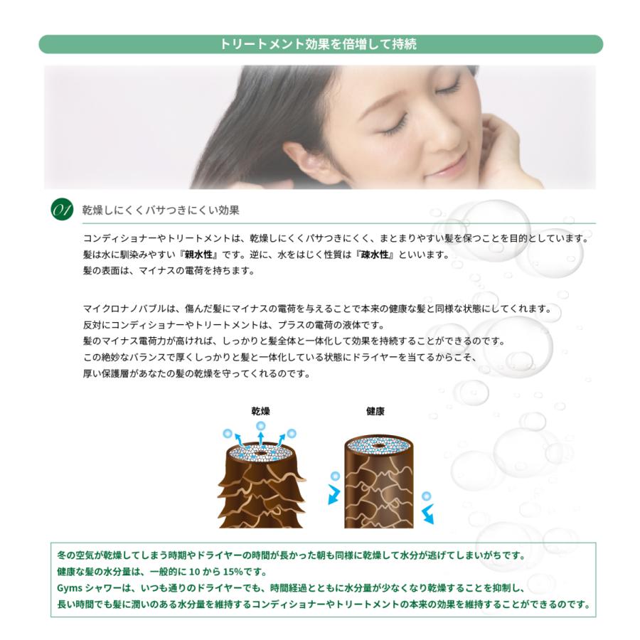 ジームス シャワー上端 ナノ砂上の楼閣 マイクロ砂上の楼閣 節水