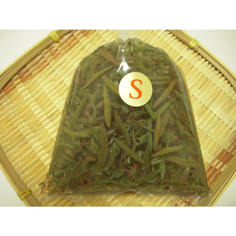 じゅんさい【生】 S選別500g 秋田県三種町産 : さつまオンライン