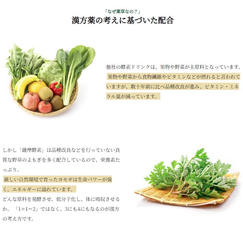 ヨモギ 酵素ドリンク 和漢 野草酵素 国産 発酵液 古式伝承 野草 薩摩