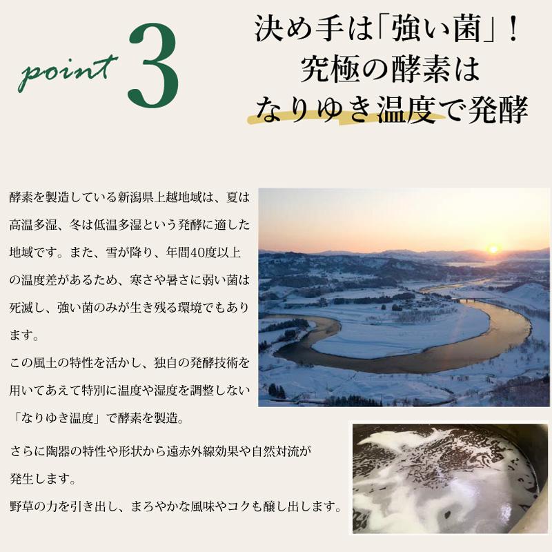 ヨモギ 酵素ドリンク 和漢 野草酵素 国産 発酵液 古式伝承 野草 薩摩酵素 500ml  甘味料不使用 保存料不使用 日本製 ファスティング ダイエット〔サツマ薬局〕 | ブランド登録なし | 07